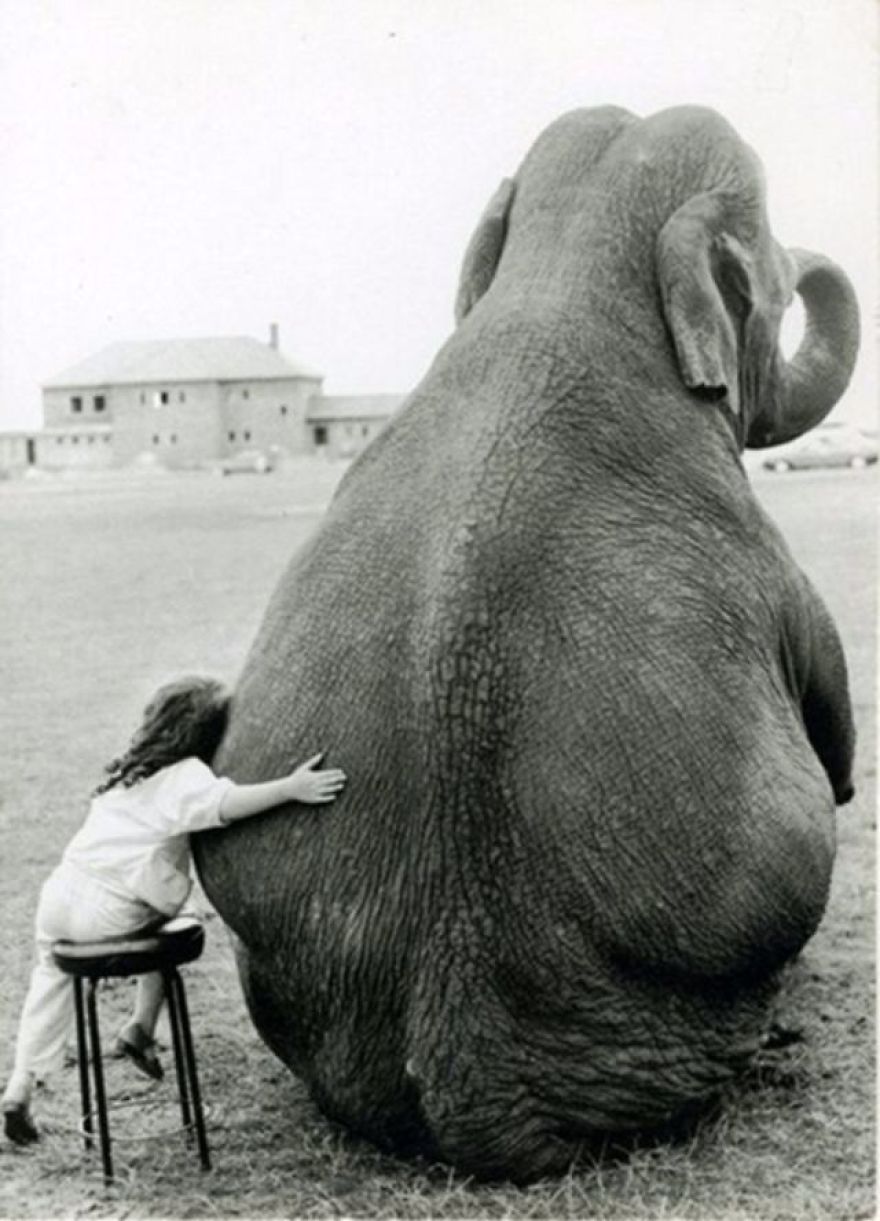 These Vintage Photographs Showing The Relationship Between Animals And People Will Surprise You