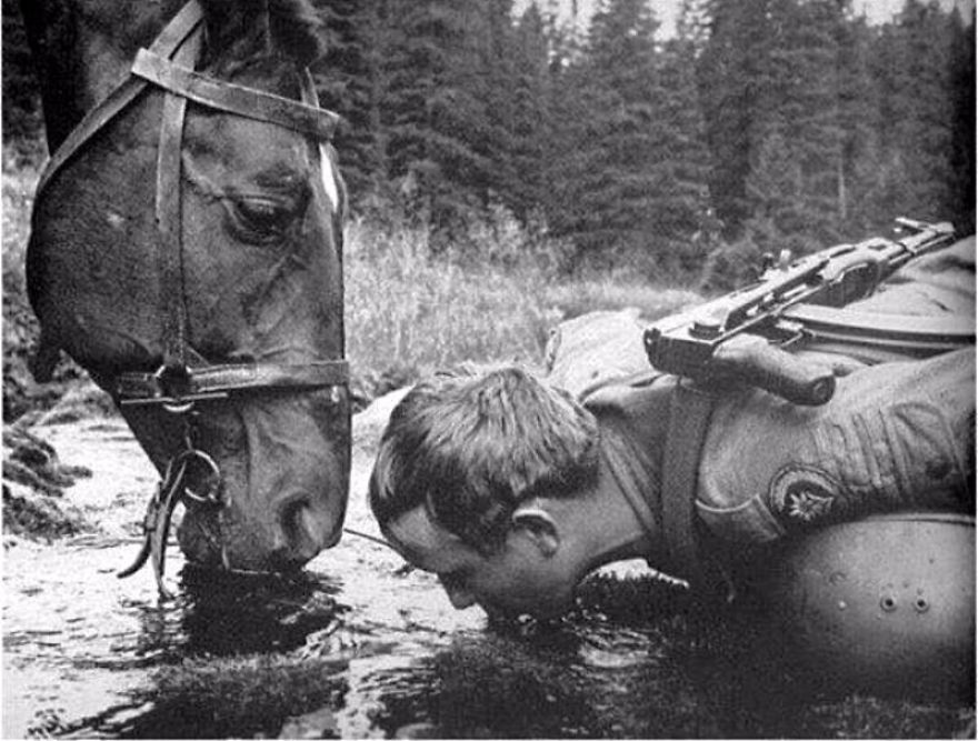 These Vintage Photographs Showing The Relationship Between Animals And People Will Surprise You
