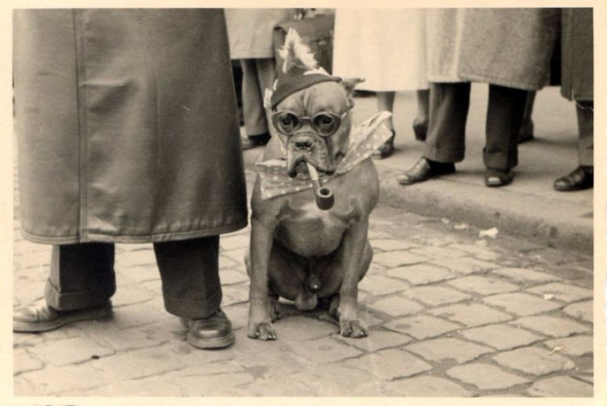 These Vintage Photographs Showing The Relationship Between Animals And People Will Surprise You