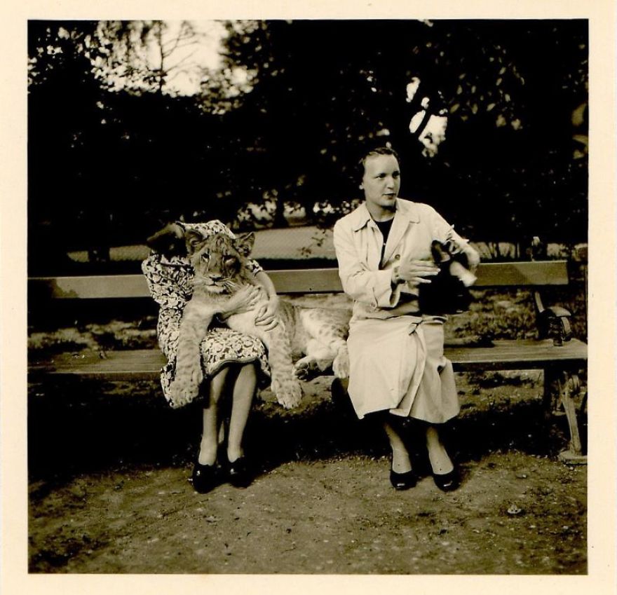 These Vintage Photographs Showing The Relationship Between Animals And People Will Surprise You