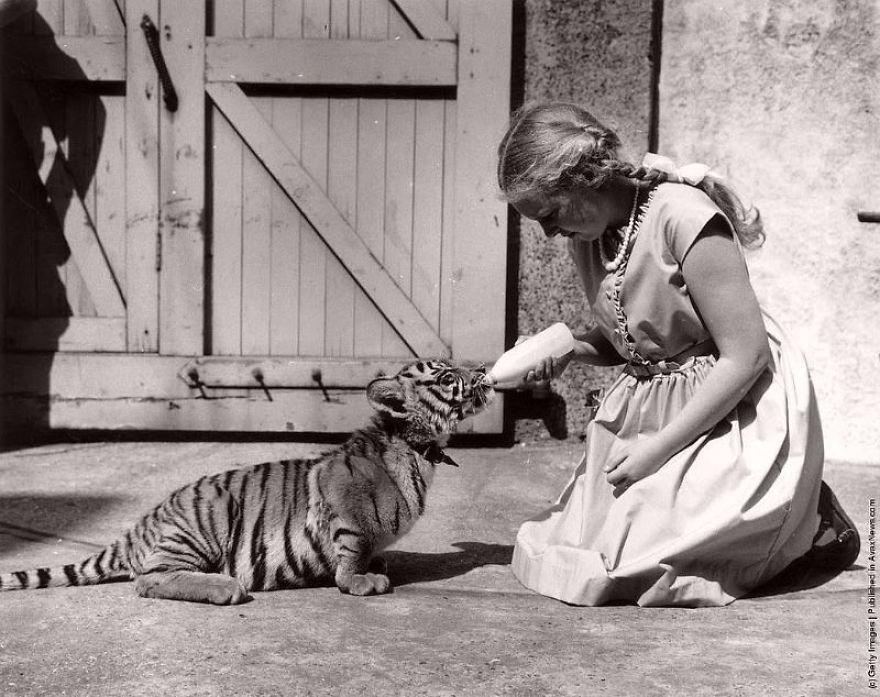 These Vintage Photographs Showing The Relationship Between Animals And People Will Surprise You