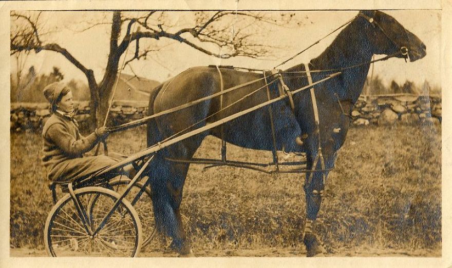 These Vintage Photographs Showing The Relationship Between Animals And People Will Surprise You