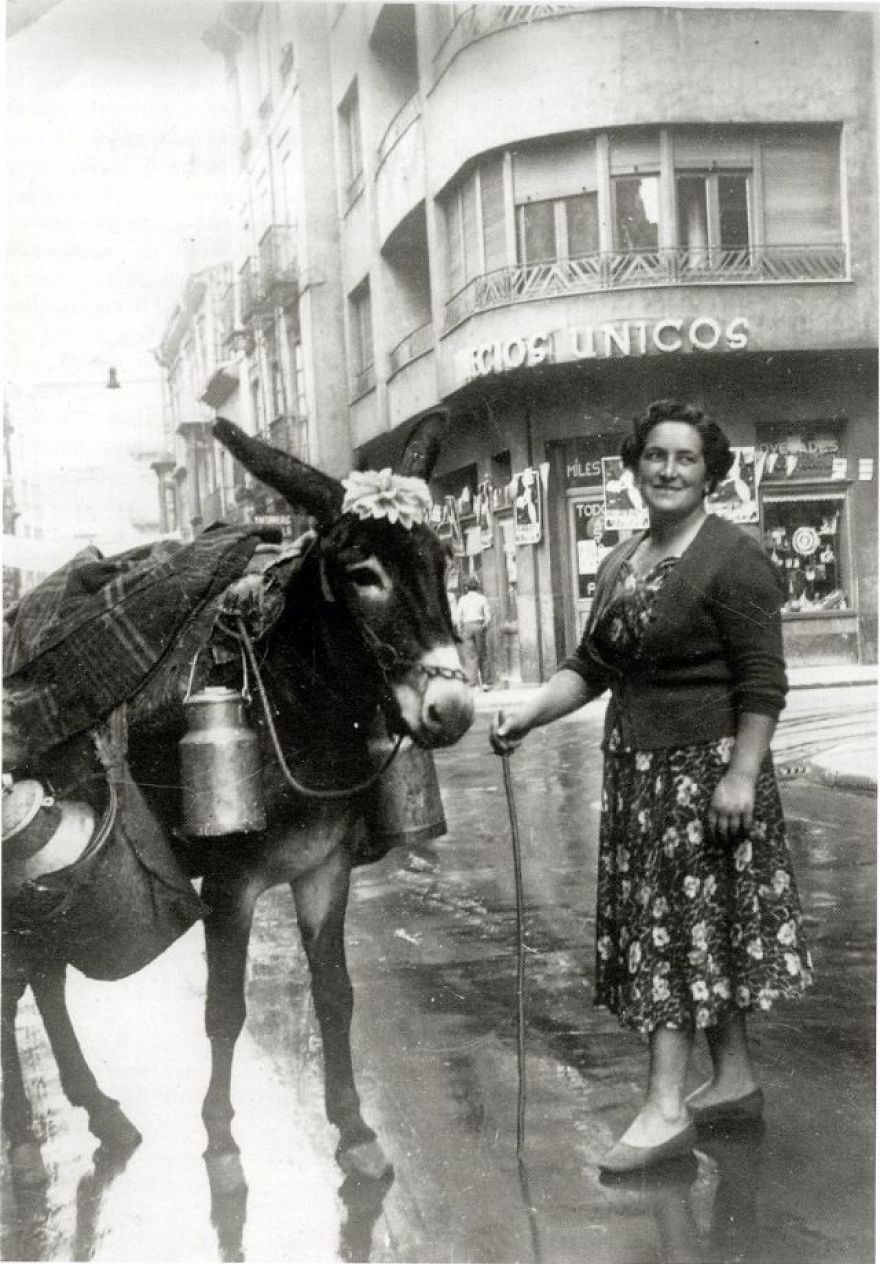 These Vintage Photographs Showing The Relationship Between Animals And People Will Surprise You
