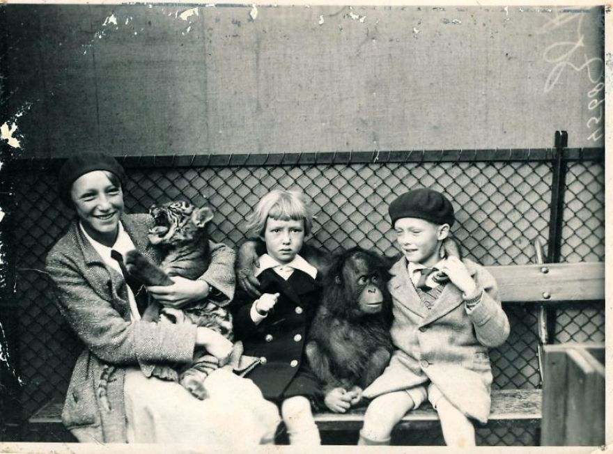 These Vintage Photographs Showing The Relationship Between Animals And People Will Surprise You