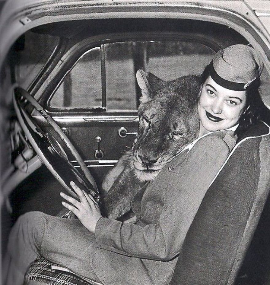 These Vintage Photographs Showing The Relationship Between Animals And People Will Surprise You