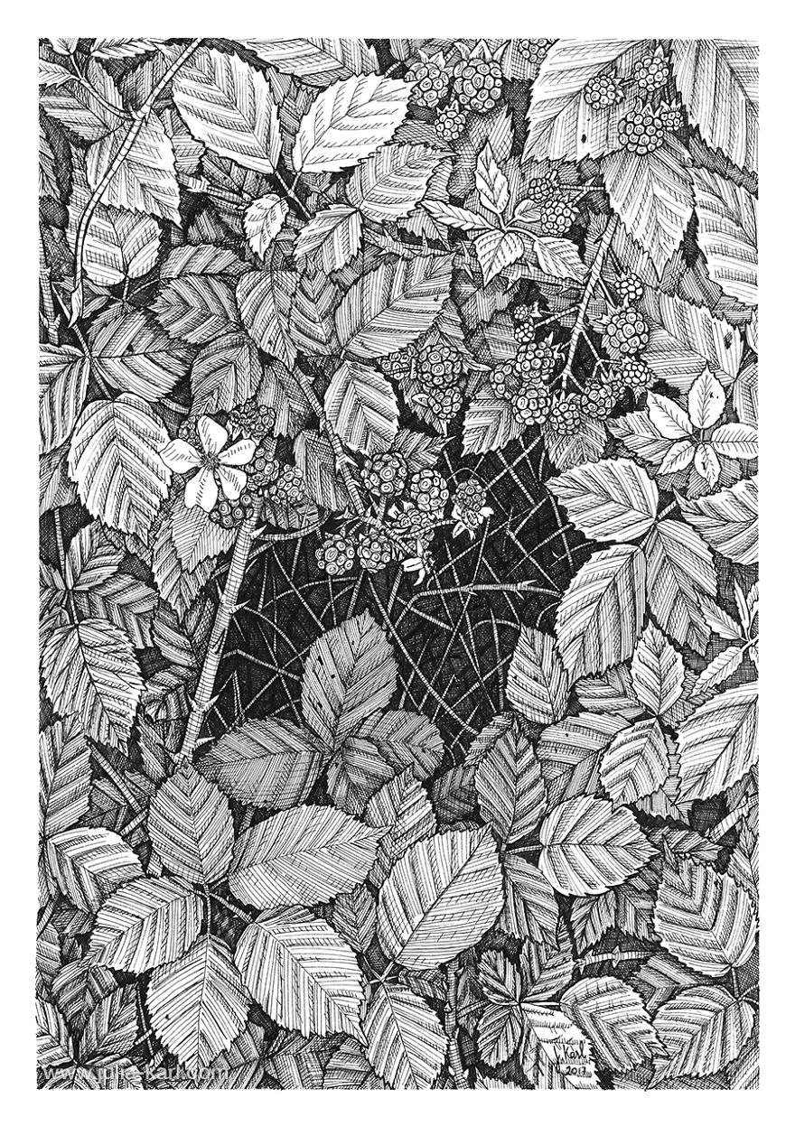 ' Vitamin N ' Or How I Reconnected With Nature By Illustrating London's Hidden Flora ' Vitamin N ' Or How I Reconnected With Nature By Illustrating London's Hidden Flora