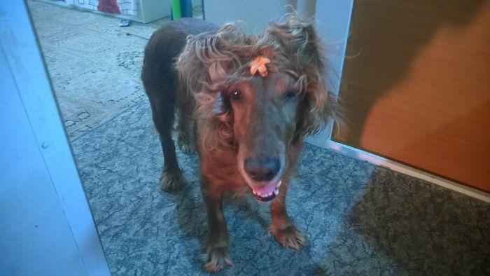 Got Myself New Haircut