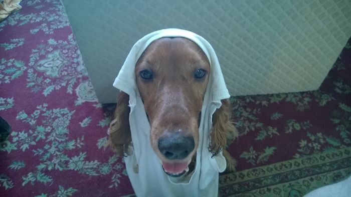 Pump, Pump Up The Jam