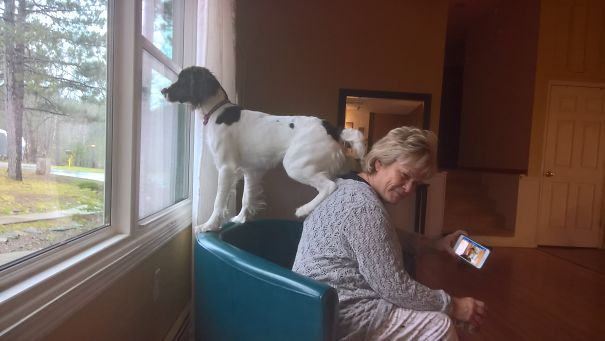 "What? This Is My Chair."