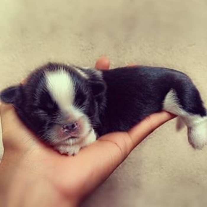 ...marchésa At 6 Days Old.