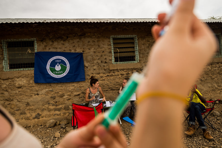 What A Veterinary Rabies Vaccination Program Looks Like In Africa