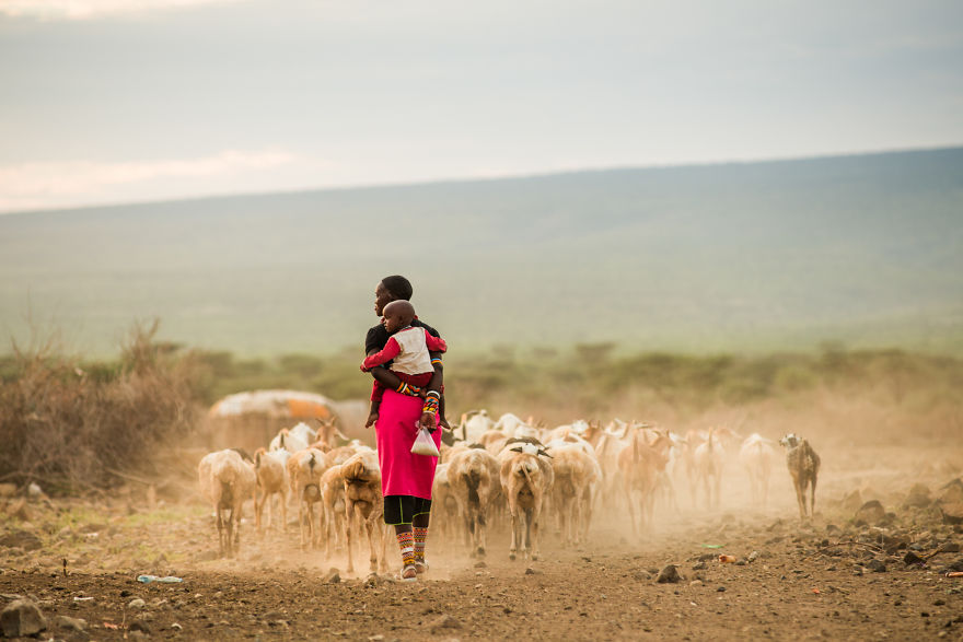 What A Veterinary Rabies Vaccination Program Looks Like In Africa