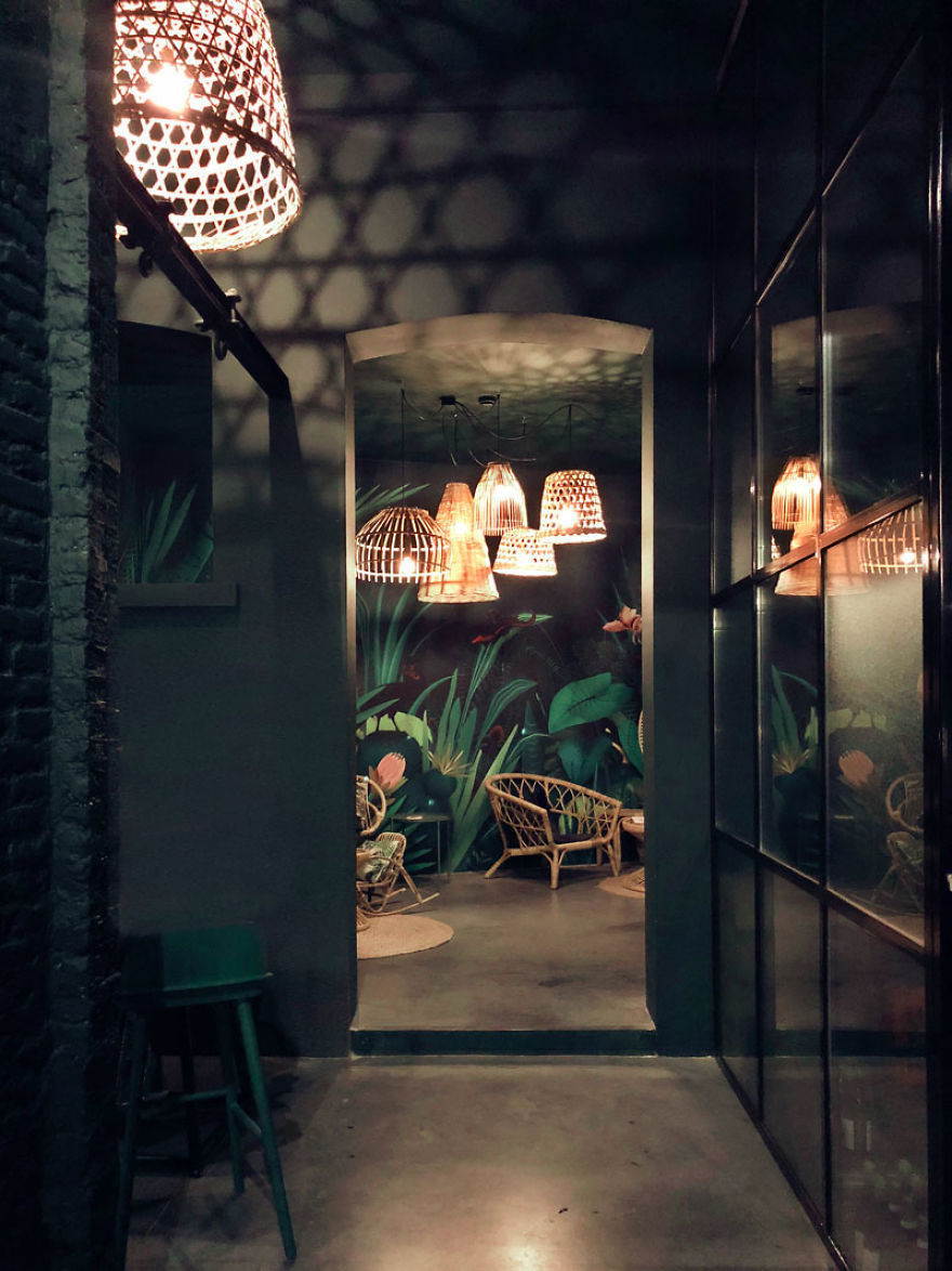 Jungle Wallpaper Fit For A Dodo!