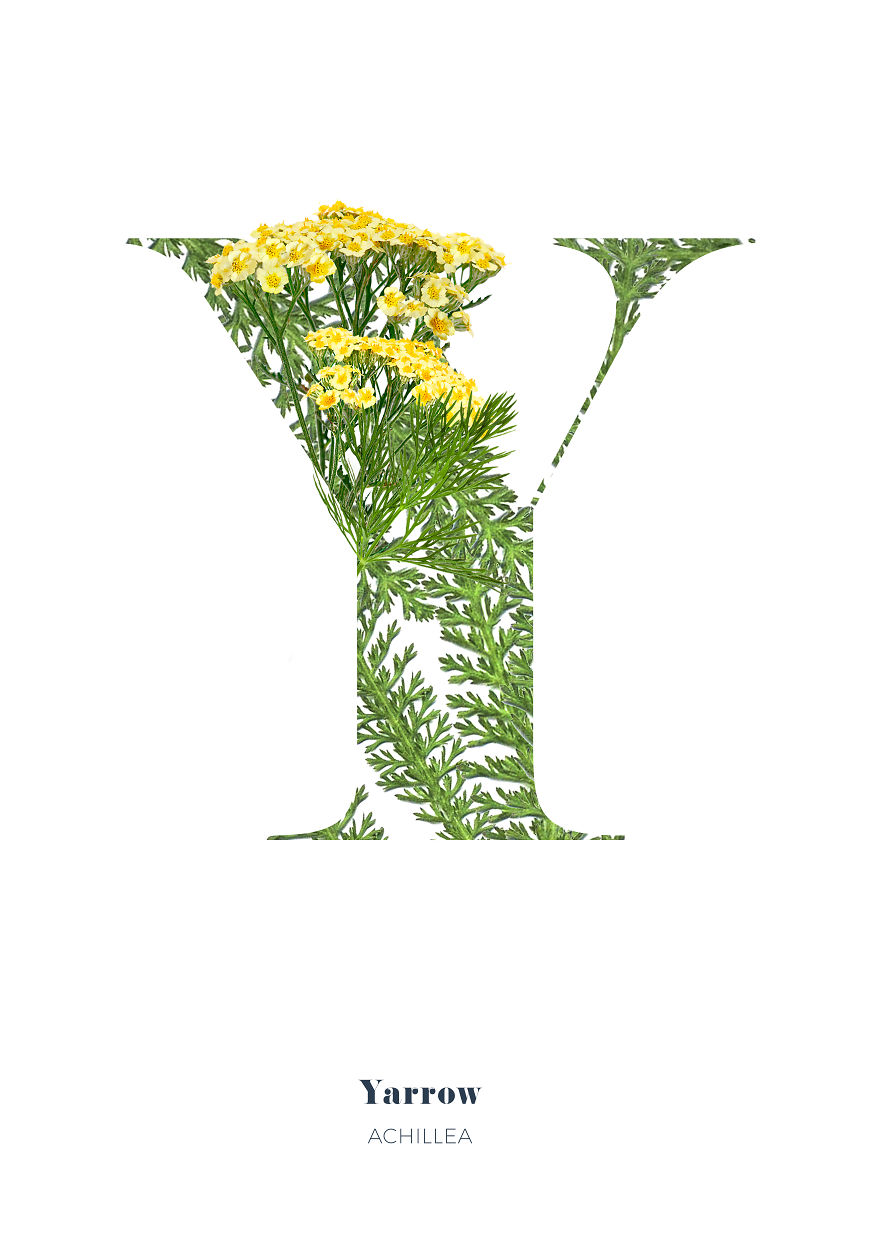 I Wanted To See What The Alphabet Would Look Like Made Out Of Flowers