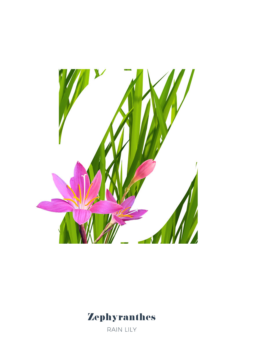 I Wanted To See What The Alphabet Would Look Like Made Out Of Flowers I Wanted To See What The Alphabet Would Look Like Made Out Of Flowers