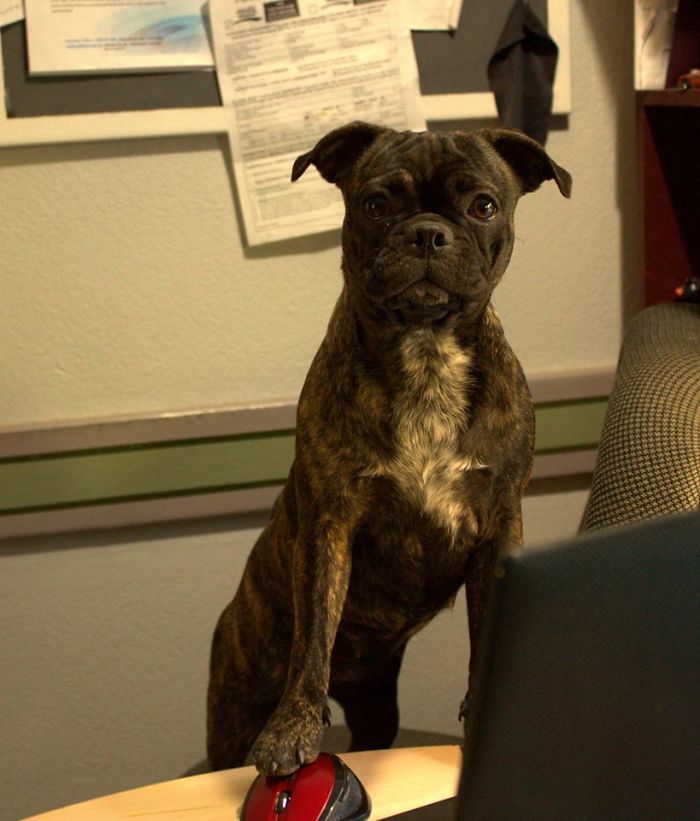 Just Checking Her E-Mail....