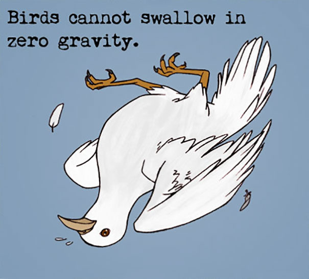 Illustration showing a bird upside down with text about weird animal facts on swallowing in zero gravity.