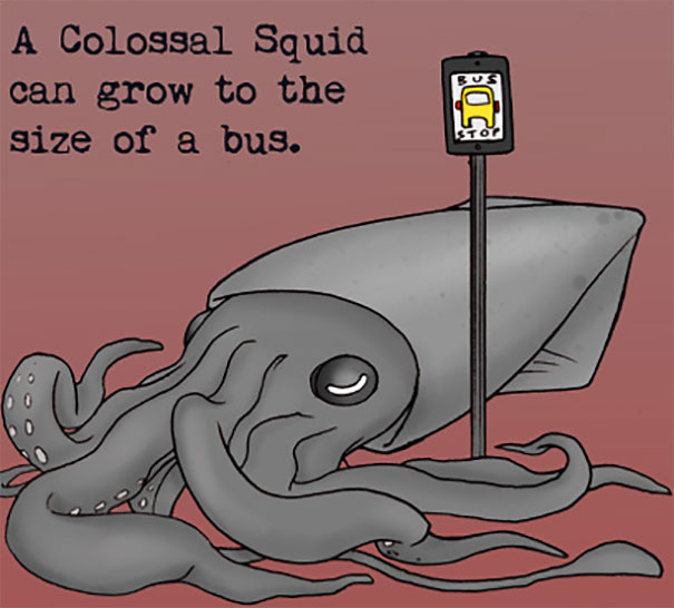 Colossal squid illustrated next to a bus stop sign, highlighting a weird animal fact about its size compared to a bus.