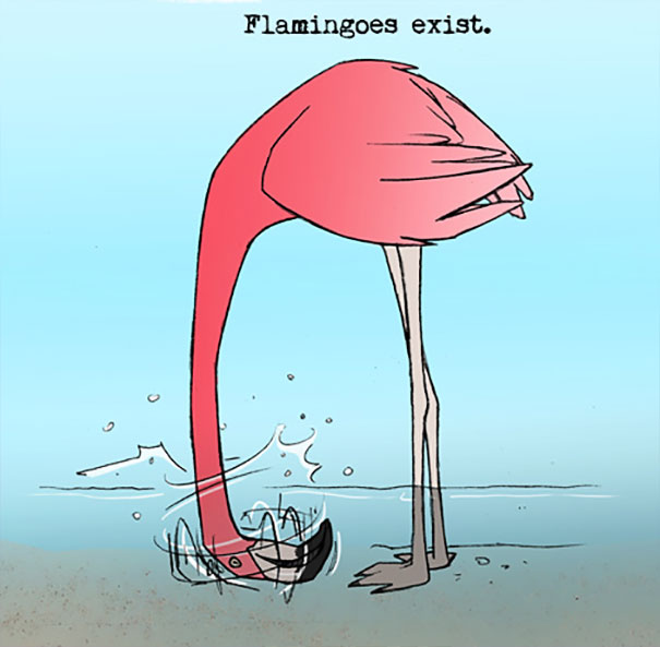 Illustration of a flamingo with its head underwater, captioned with a weird animal fact about flamingoes.