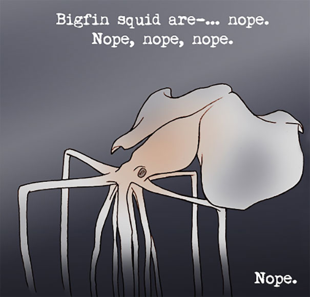 Illustration of a bigfin squid with text expressing fear, highlighting weird animal facts and unusual marine creatures.