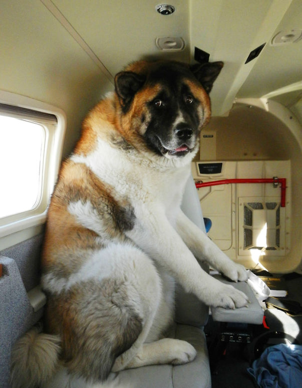 "But I'm Scared" Rockys First Flight