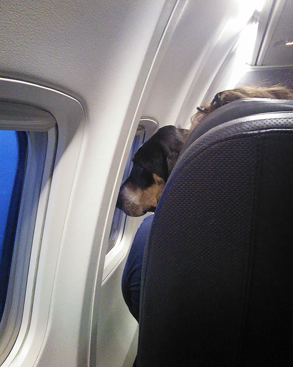 This Guy Sat In Front Of Me Staring Out The Airplane Window For For 5 Hours And He Didn't Make A Sound