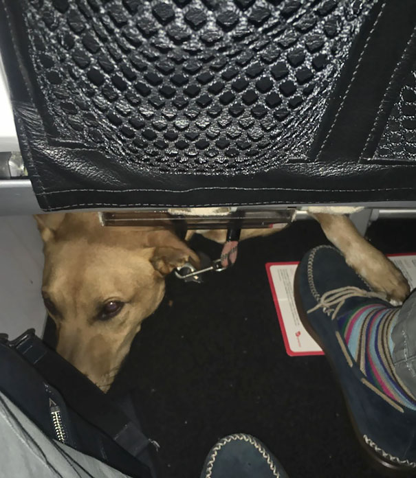 Passenger In Front Of Me On The Plane Kept Playing Footsie With Me. Finally Looked Down