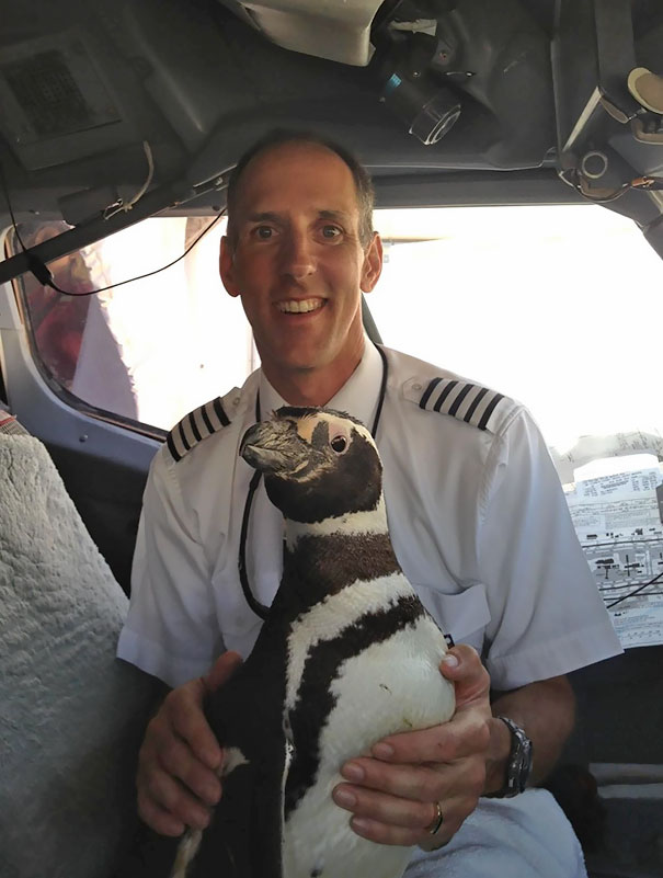 You Saw Penguins On A Plane? My Papps Was Flying It