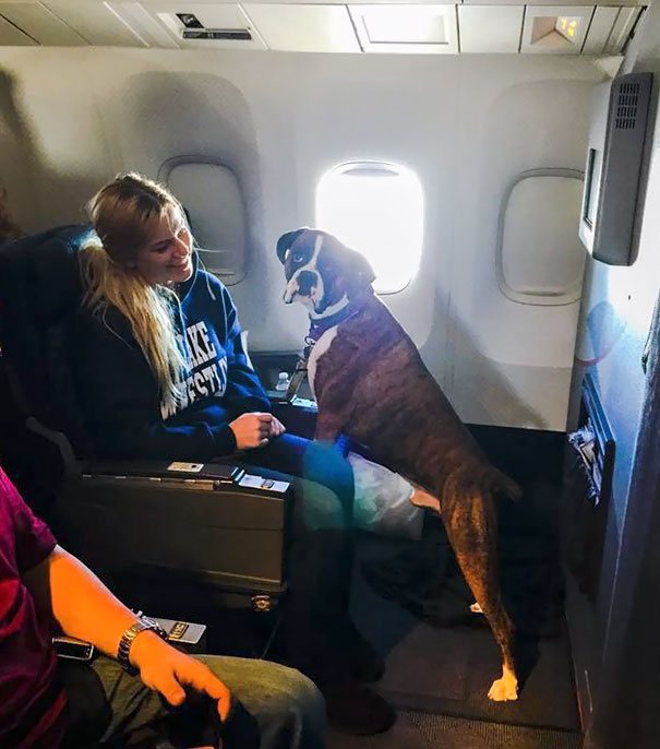 This Dude Had His Own Seat On My Flight To Madrid