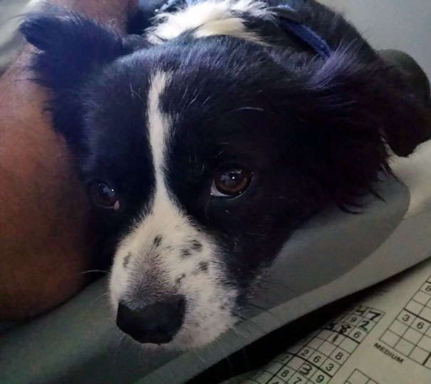 The Passenger Seat Next To Me On The Plane Back Home