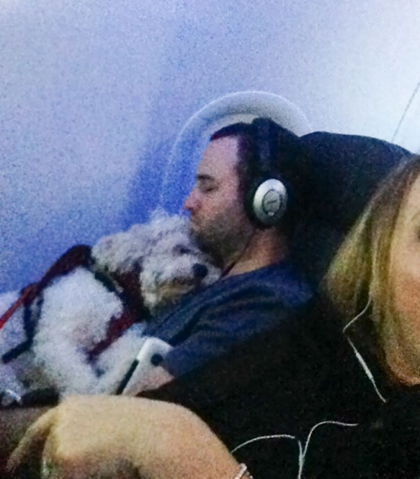 This Guy And His Dog On My Flight Right Now. They Have Been Like This For Over 2 Hours
