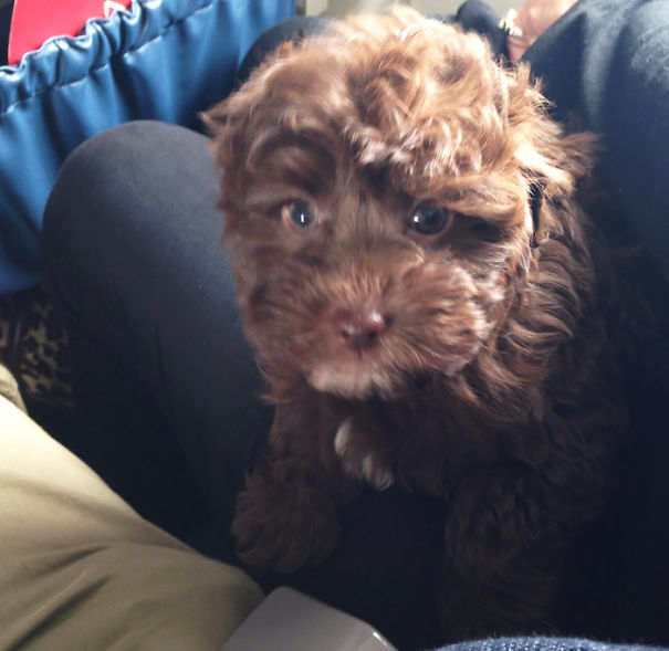 The Passenger Next To Me On My Plane Kept Trying To Talk