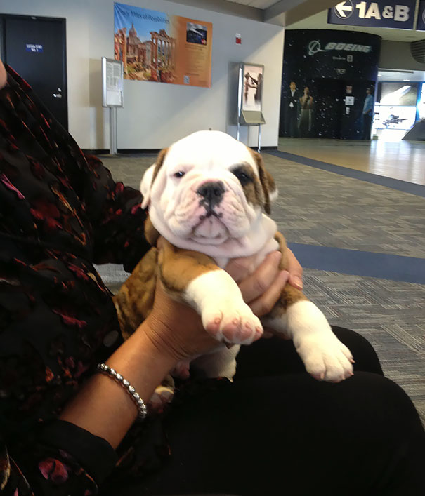 Met This Little Fella On His First Flight