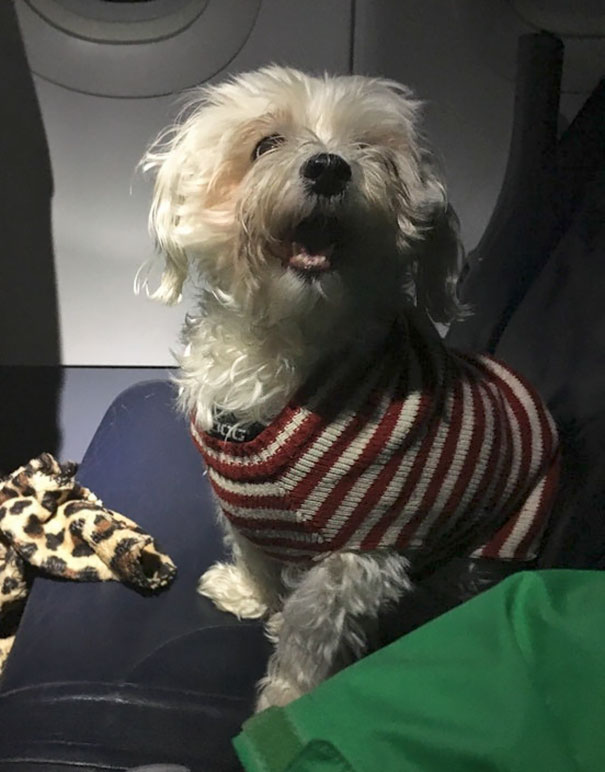 I Was Pissed To Get The Middle Seat On My Flight But At Least I Made A Friend