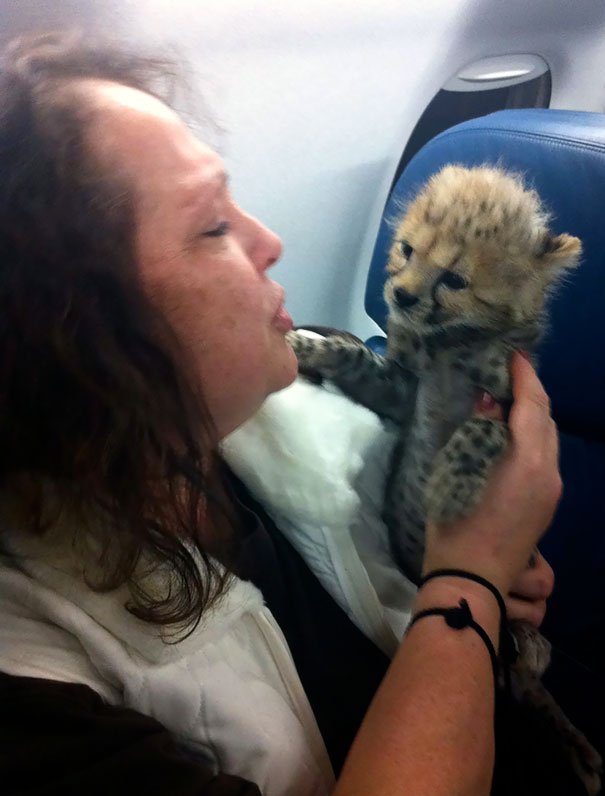 These Guys Were On My Flight The Other Day