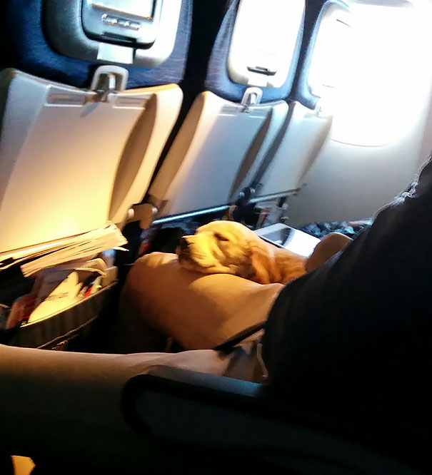 Cute Girl On My Flight