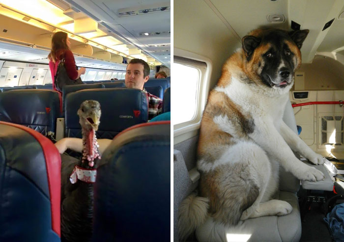 40 vuelos con los mejores pasajeros