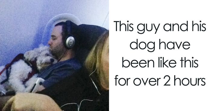 114 Flights That Had The Best Passengers