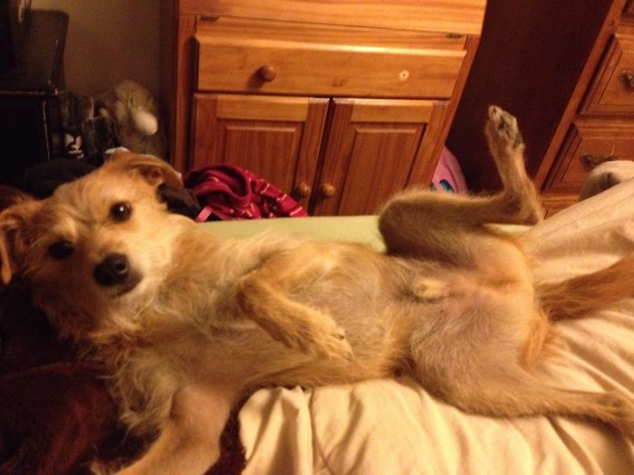 "Draw Me Like One Of Your French Girls"