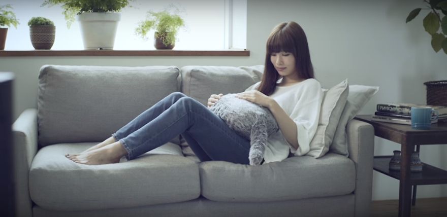 This Cat-Inspired Robot From Japan Can Help To Cope With Anxiety This Cat-Inspired Robot From Japan Can Help To Cope With Anxiety