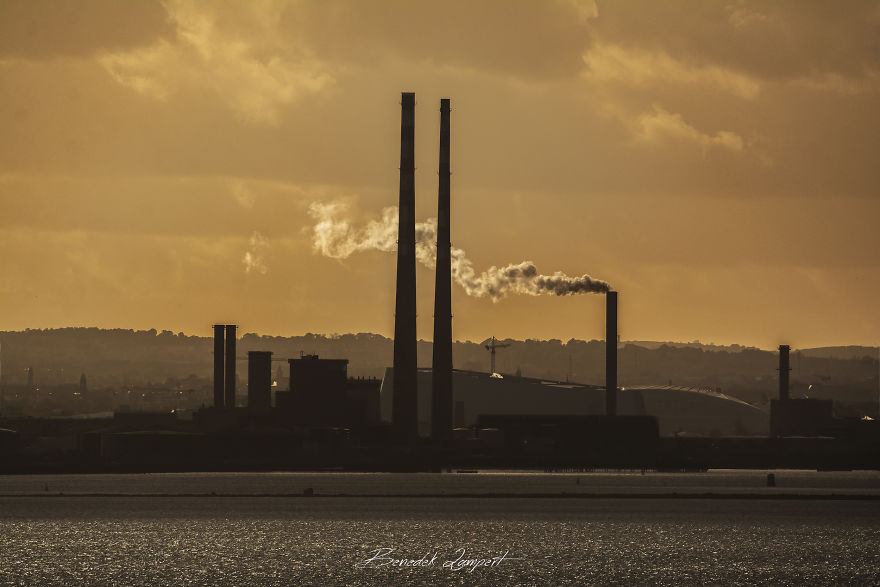 A Different Kind Of Landscape