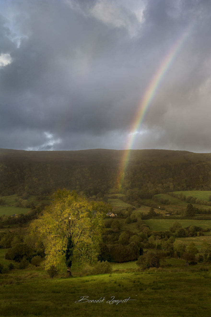 Looking For The Leprechaun's Gold