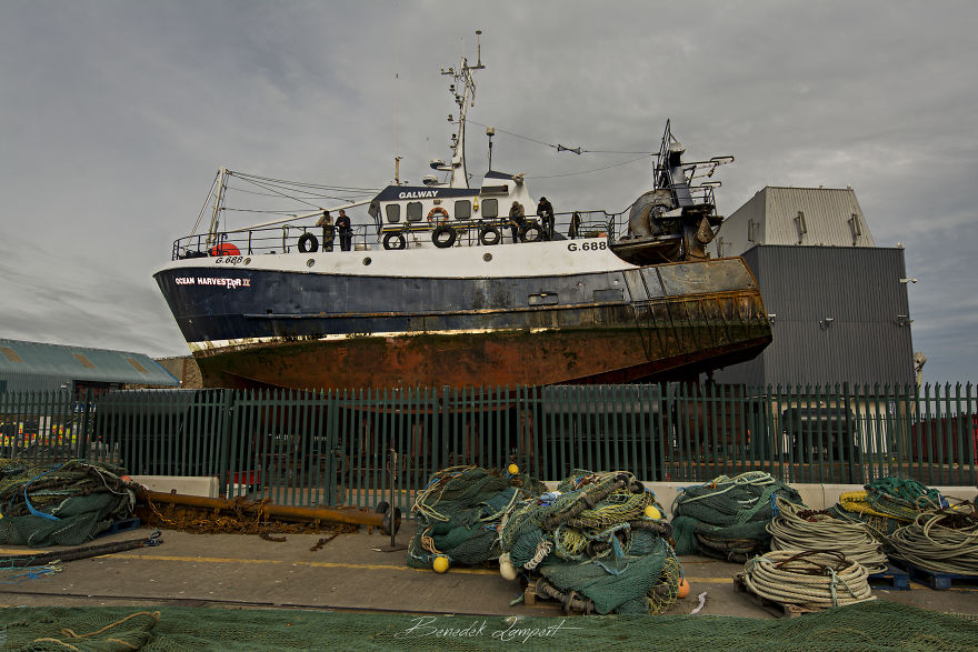 In Need Of Water...?