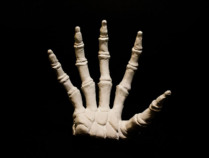 bloody-hand-halloween-candles-creepycandles-6 bloody-hand-halloween-candles-creepycandles-6