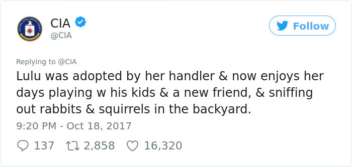 Lulu Gets Fired From CIA Because She Would Rather Play Than Sniff Bombs