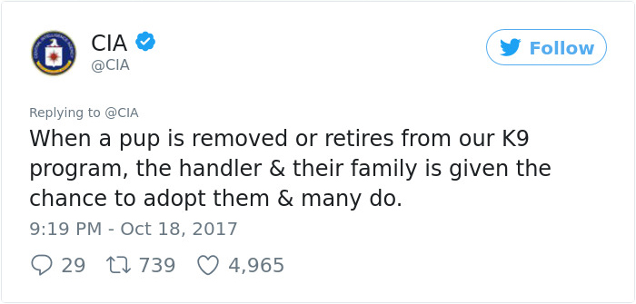 Lulu Gets Fired From CIA Because She Would Rather Play Than Sniff Bombs