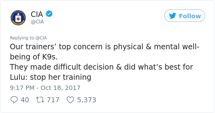 Lulu Gets Fired From CIA Because She Would Rather Play Than Sniff Bombs