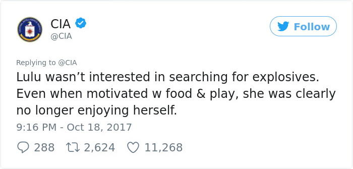 Lulu Gets Fired From CIA Because She Would Rather Play Than Sniff Bombs