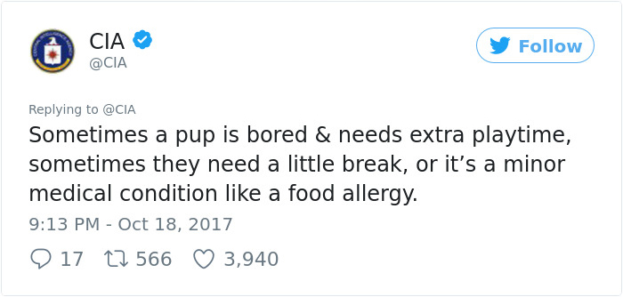 Lulu Gets Fired From CIA Because She Would Rather Play Than Sniff Bombs