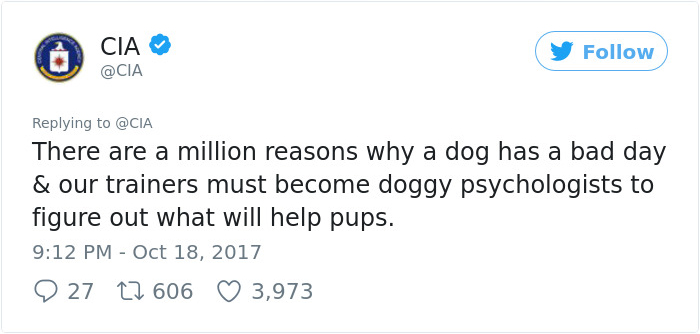 Lulu Gets Fired From CIA Because She Would Rather Play Than Sniff Bombs